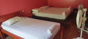 two twin beds in a room with red walls at Hostal Inculta in Santo Domingo