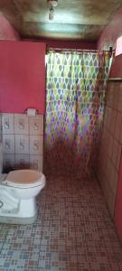a bathroom with a toilet and a shower at Hostal Inculta in Santo Domingo
