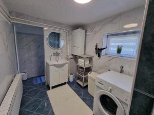 a bathroom with a washing machine and a sink at Kuća za odmor Family Ferlin in Grabrovnik