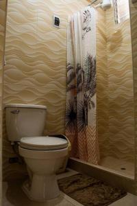 a bathroom with a toilet and a shower curtain at Miski Wasi in Cusco