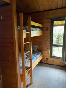 1 dormitorio con literas en una cabaña de madera en Dakune Chill - The Lodge, en Ohakune