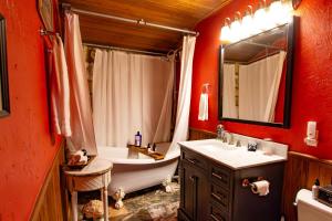 uma casa de banho com uma banheira, um lavatório e um espelho. em A Barn At The Quarry em Fredericksburg