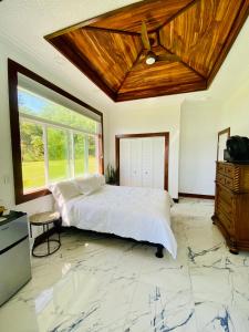 a bedroom with a bed and a large window at Wild Blue Water in Pahoa