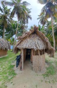 a small hut with a straw roof with palm trees at Cabañas tradicionales en isla Aroma in Warsobtugua