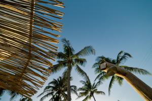 Foto da galeria de VentoVinte Beach Club em Flecheiras