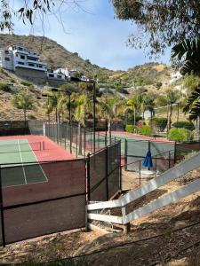 Tennis und/oder Squash in der Unterkunft Hamilton Cove Panoramic Ocean View Condo #2/32 oder in der Nähe