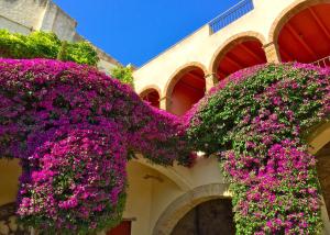 Jardín al aire libre en Apartaments Can Gibert