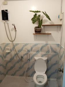 a bathroom with a toilet and a plant on a shelf at LALUNA COTTAGES in El Nido