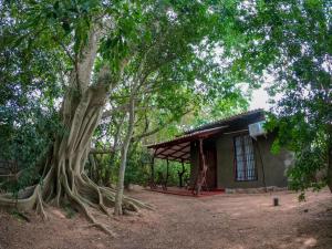 una casa con un gran árbol delante de ella en Wilpattu Mookalan Resort en Habawewa