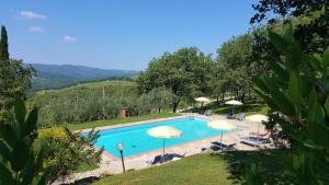 Bazén v ubytování Holiday House Le Selvole nebo v jeho okolí