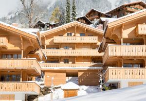a ski lodge in the snow at Panoramapark Soleil E Apt 3 in Wengen