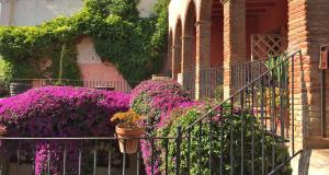 Jardín al aire libre en Apartaments Can Gibert