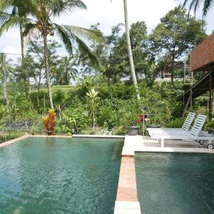 外南夢的住宿－Pondok isoke bunggalow，一个带两把椅子的游泳池,棕榈树