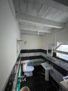 a bathroom with a toilet and a sink at Karakorum Family Guest House Hunza in Hunza