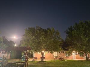 a park with a bench and trees at night at Villa Sunset in Palić
