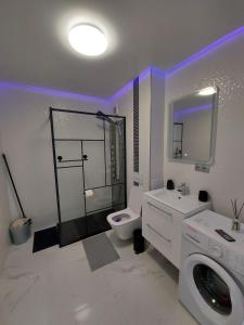 A bathroom at New Transilvania apartment