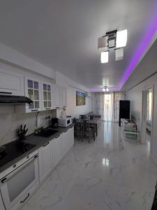 A kitchen or kitchenette at New Transilvania apartment