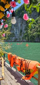 - Vistas a un río con personas haciendo kayak en el agua en Hải Lưu Hotel, en Cái Rồng