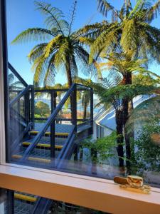 a window view of a palm tree from a house at Koru Flat in Dunedin