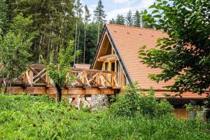 Příroda nedaleko apartmánu
