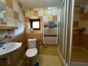 een badkamer met een toilet, een wastafel en een douche bij Penzión Mizuna in Hrabušice