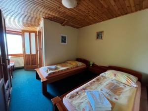 フラブシツェにあるPenzión Mizunaのギャラリーの写真