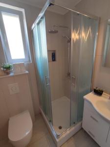 a bathroom with a shower and a toilet and a sink at Apartman Bor in Livno