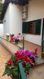 A garden outside Le Scalette