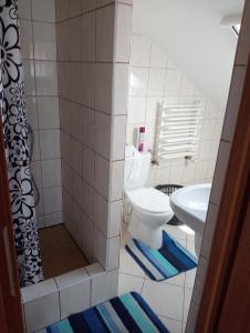 a bathroom with a toilet and a sink at Dom Gościnny Małgosia in Kąty Rybackie