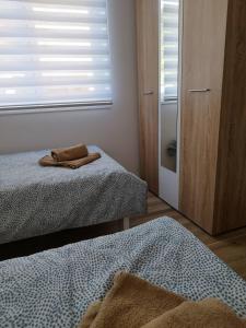 una camera con 2 letti singoli e una finestra di Bora apartman a Soko Banja