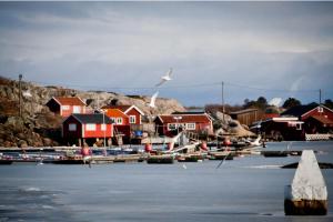 a harbor with houses and boats in the water at BB Snäckan Hönö in Hönö