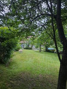 un parque con un banco en medio de un patio en Maison d'hôtes des Mondfänger, en Meisenthal