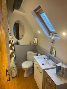 Saint-Mars-sur-Colmont的住宿－Maison entière, en pleine campagne，一间带卫生间、水槽和窗户的浴室