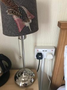 une lampe assise sur un bureau avec un oiseau dessus dans l'établissement Foyers Roost, à Foyers