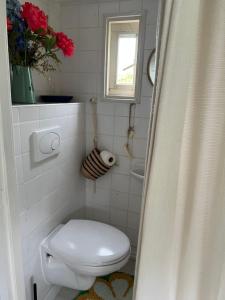 een witte badkamer met een toilet en een raam bij Huisje op de dijk in Kortenhoef