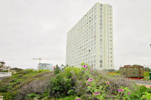 a tall building and pink flowers in front of a building at Blouberg heights in Cape Town