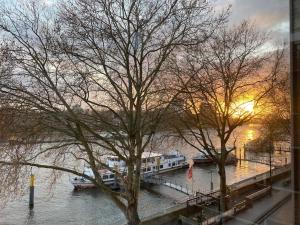 a couple of trees next to a river with boats at Bremen Weser Best View Apartment in Bremen