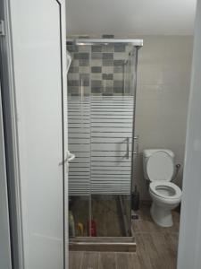 a bathroom with a toilet and a glass shower at Arxontiko Studios in Limenas