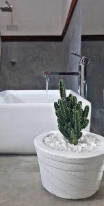 a plant in a white pot in front of a bath tub at Villa Blue Ocean in Mirissa