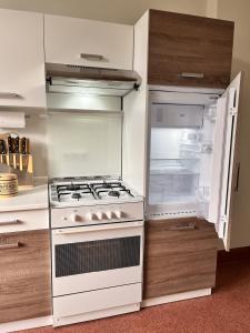 cocina con fogones y nevera abierta en Apartment am Schloss-Park Wiesbaden Biebrich am Rhein, en Wiesbaden