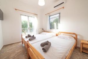 2 camas en una habitación con 2 ventanas en Olive Apartments Elaionas, en Eleonas