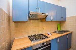 Kuchyň nebo kuchyňský kout v ubytování Apartman Natura