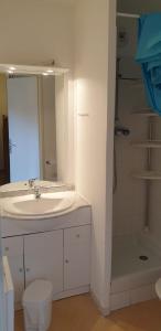 W łazience znajduje się biała umywalka i prysznic. w obiekcie Appartement 10 personnes au pied des pistes - Superdévoluy w mieście Superdevoluy