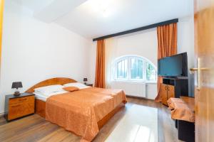 1 dormitorio con 1 cama y TV de pantalla plana en Vila Veverita, en Predeal