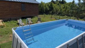 - une piscine bleue avec une échelle dans la cour dans l'établissement Shaori Lake Cottages, à Kharistʼvala