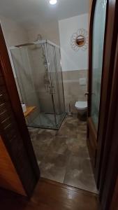 a bathroom with a shower and a toilet at Casa de Lemn Maramures in Mara