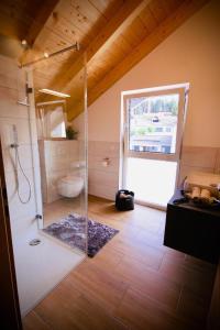 a bathroom with a shower and a toilet in a room at Ferienwohnungen Ebner in Bischofsmais