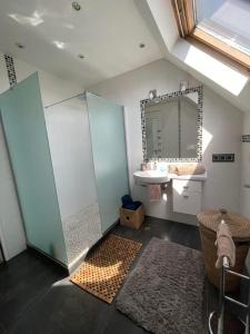 La salle de bains est pourvue d'une douche, d'un lavabo et d'un miroir. dans l'établissement Appartement jerry et joy, à Wolfisheim