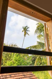 a window view of a palm tree from a house at NETS Cowork & Colive in Ahangama