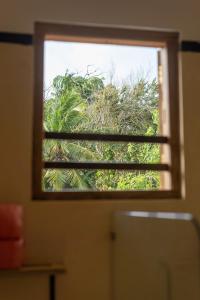 a window in a room with a view of trees at NETS Cowork & Colive in Ahangama